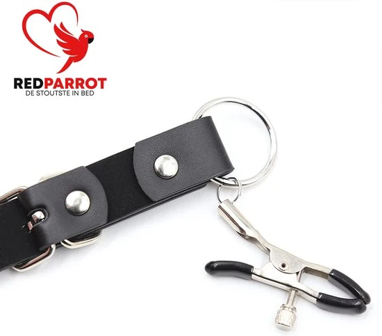 Promo π Merkloos Clitoris Klemmen | Schaamlip Klemmen | Verstelbaar | 4 Uiteinden | Zeer Luxe Uitvoering | SM | BDSM π₯ - Afbeelding 4