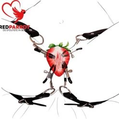 Promo 👏 Merkloos Clitoris Klemmen | Schaamlip Klemmen | Verstelbaar | 4 Uiteinden | Zeer Luxe Uitvoering | SM | BDSM 🔥