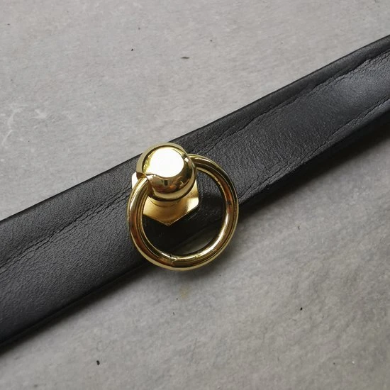 Gloednieuw ⨠Provocater PROVOCATEUR - Leren BDSM Collar Met Ring - BDSM Halsband - Bondage Collar - Choker - Sexy Cadeau - Dunne Halsband Voor Vrouwen - Day Collar - Skinny Collar - Luxe Bondage Gear - Echt Leer Zwart / Goud 𧨠- Afbeelding 3